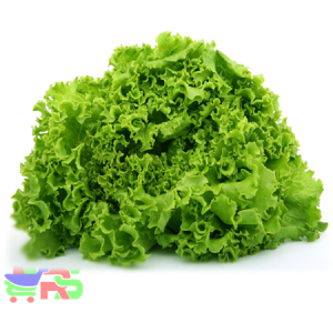 Lettuce (500g/Pack)
