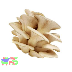 Pleurothus Mushroom (250g/Pack)